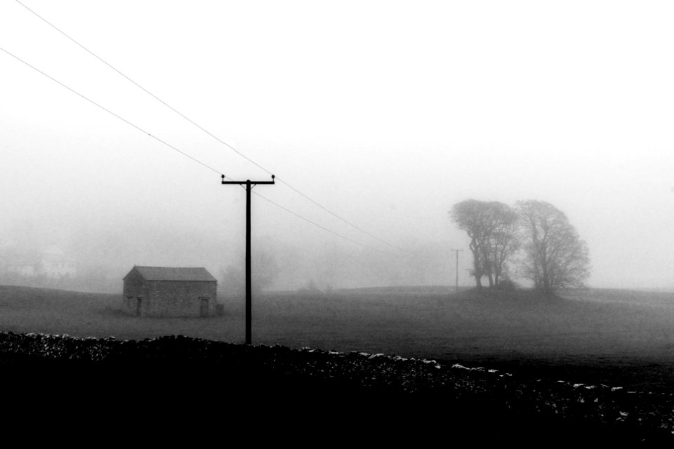 Misty Silverdale Morning