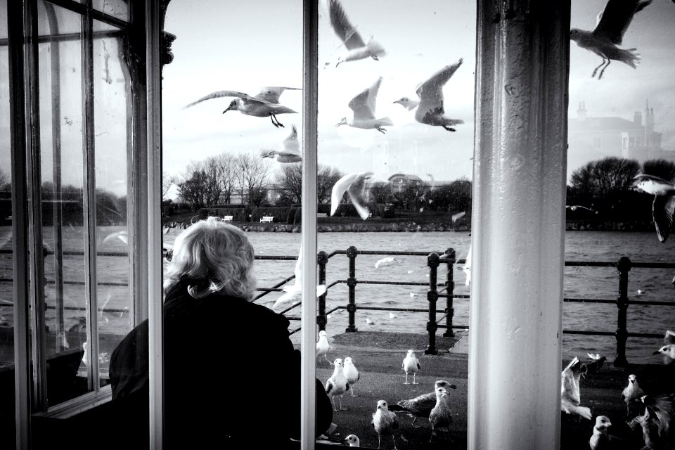 Birds and Blokes photo