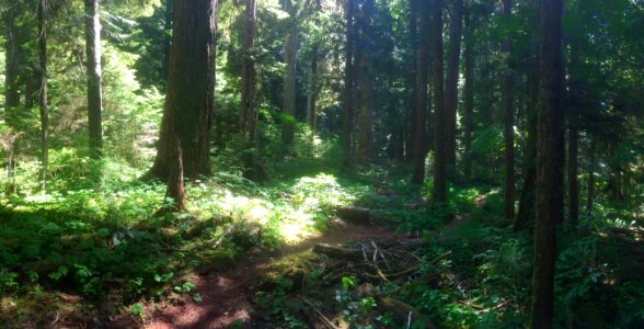 National Trails Day at Trapper Creek