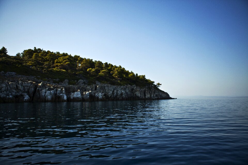 Ocean water vegetation