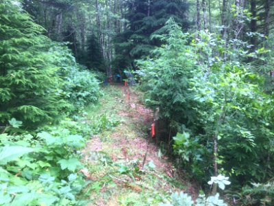 East Fork Lewis River Trail - 7-7-16