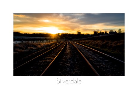 Morning Tracks in Silverdale photo