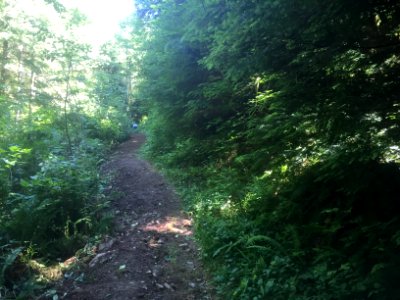 East fork Lewis River Trail photo