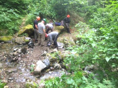 East Fork Lewis River Trail - 7-7-16 photo