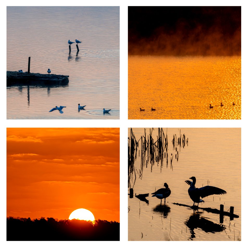 Leighton Moss Dawn