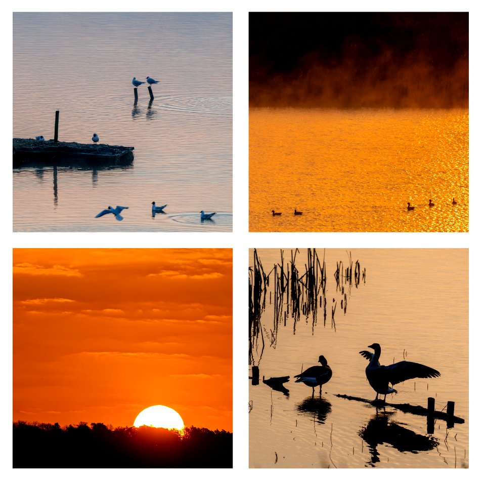 Leighton Moss Dawn photo