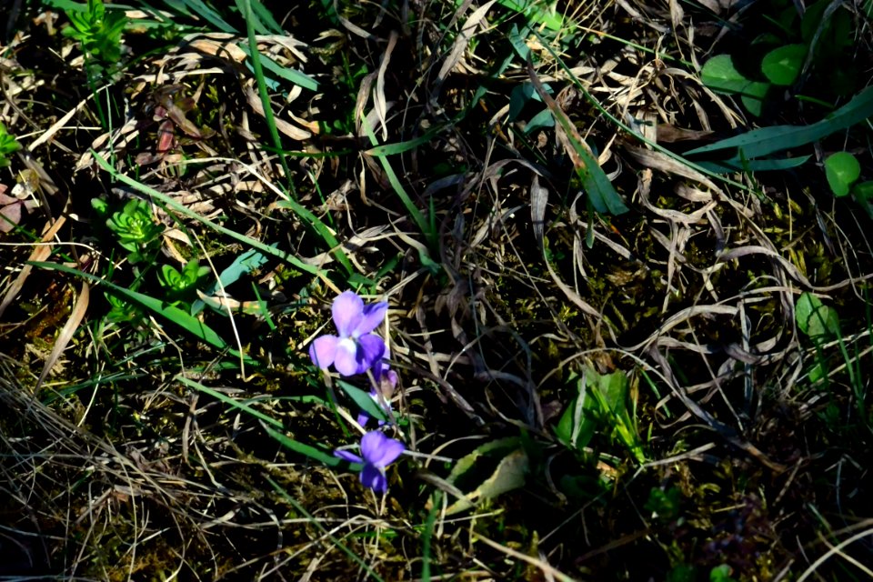 Spring 2014