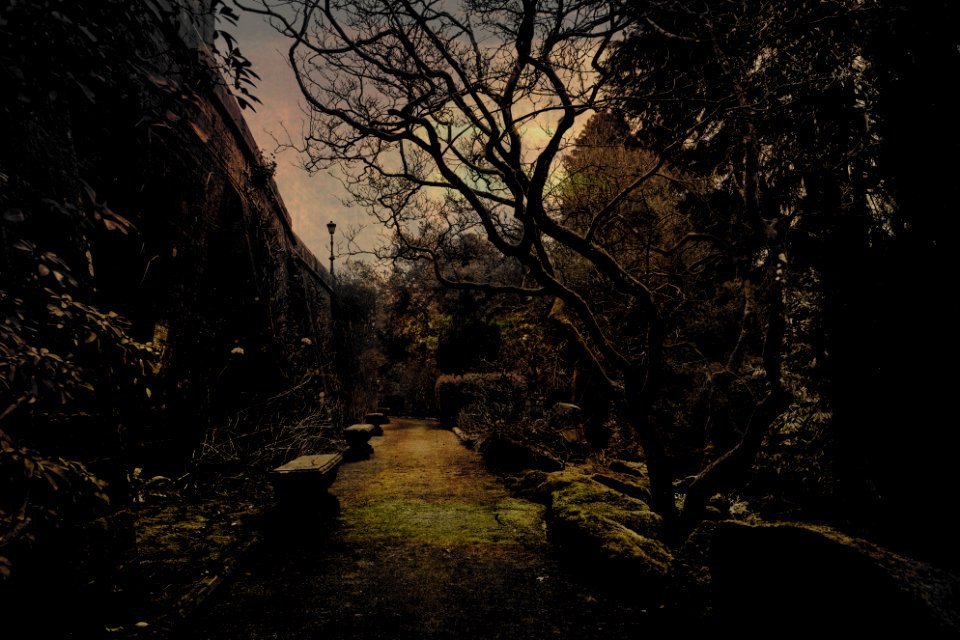 Path at Hornby Castle