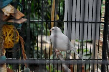 DSC 9502
