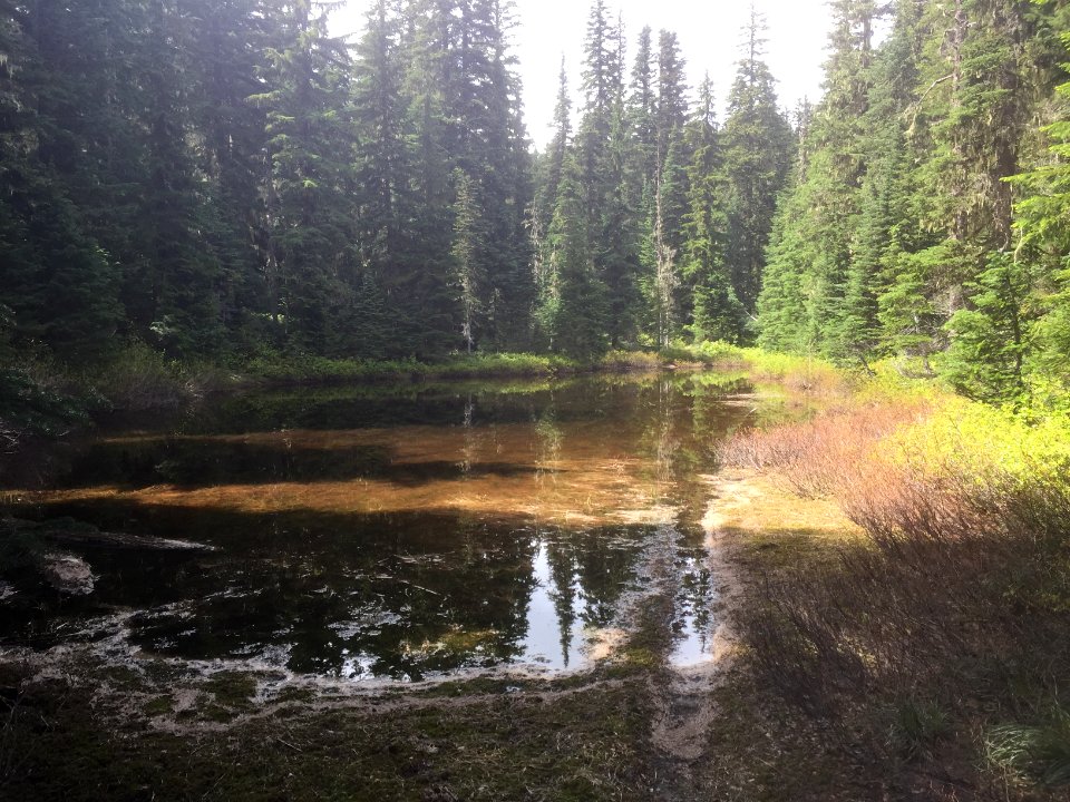 Klickitat