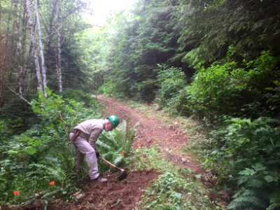 East fork Lewis River Trail photo