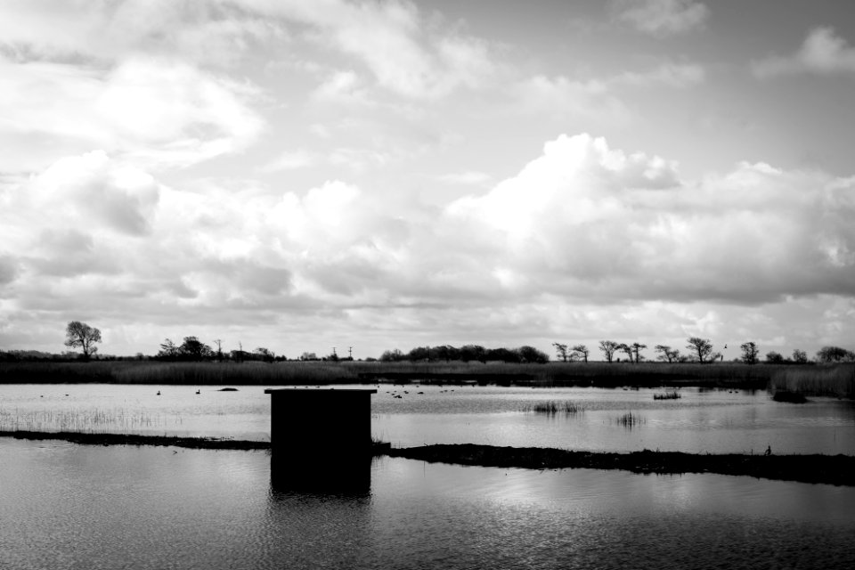 Paths Awash -  (5 of 6)