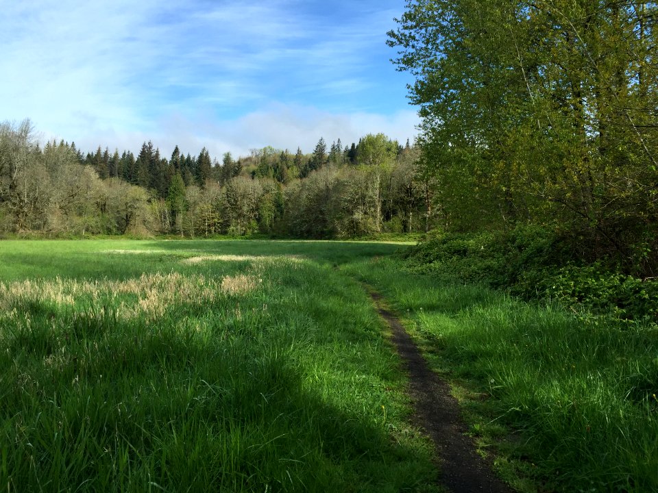 SamsWalker 4-9-15 (1)