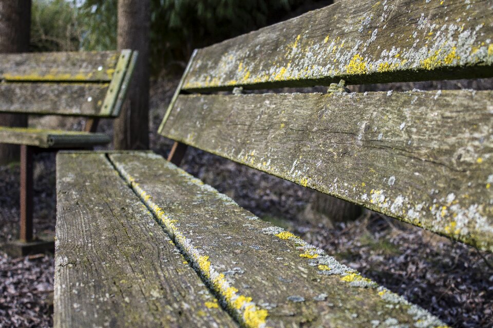Nature wood furniture