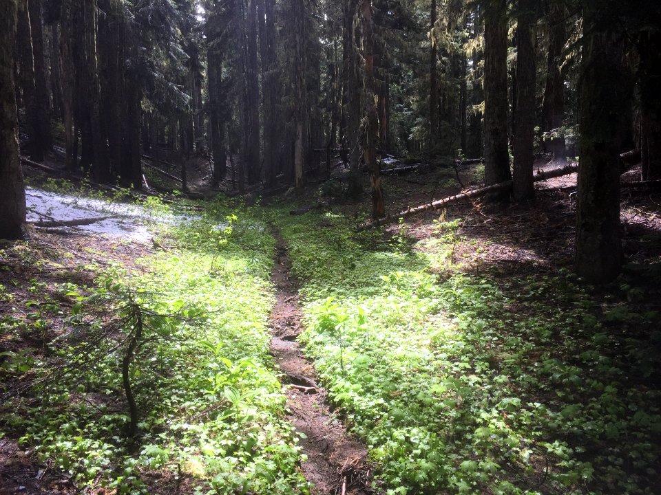 Klickitat Trail