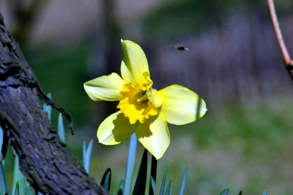 Spring 2014