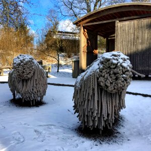 Skansen photo