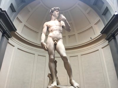 Michelangelo's David photo