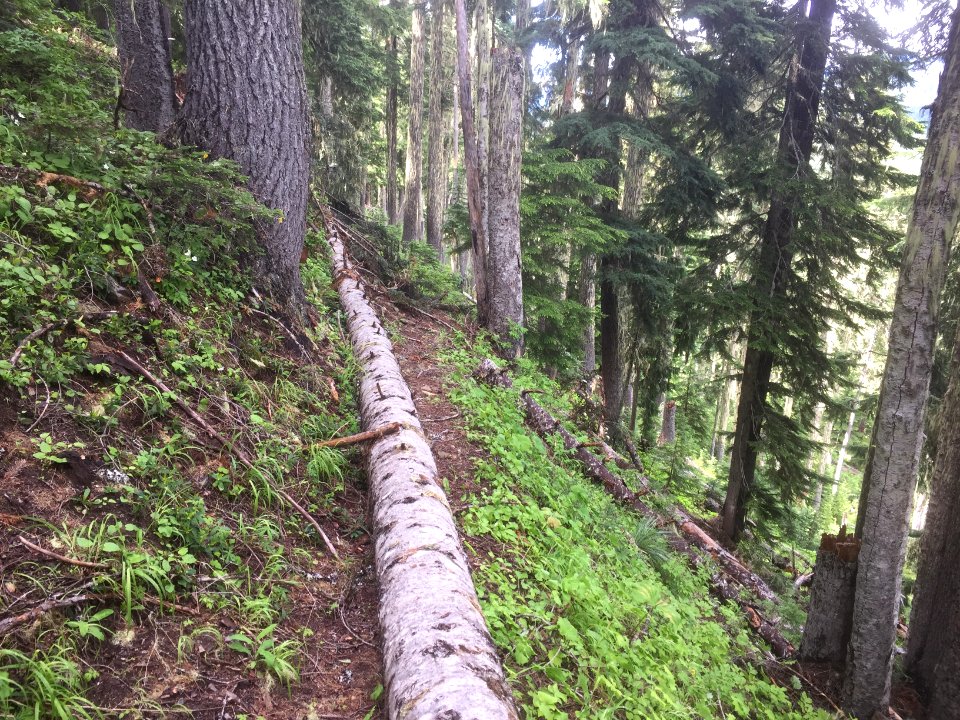 Klickitat 7A
