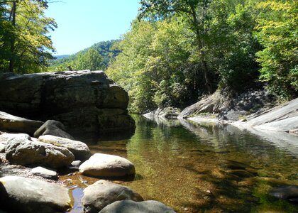 Nature water forest