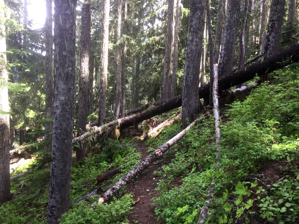 Klickitat 7A