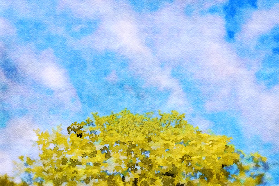 painting watercolor-9