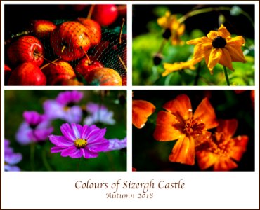 Colours of Sizergh Castle
