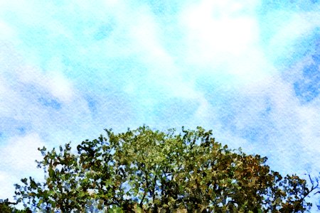 painting watercolor-8