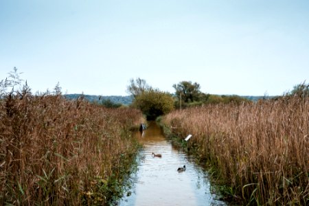 Leighton Flooded - (7 of 7)