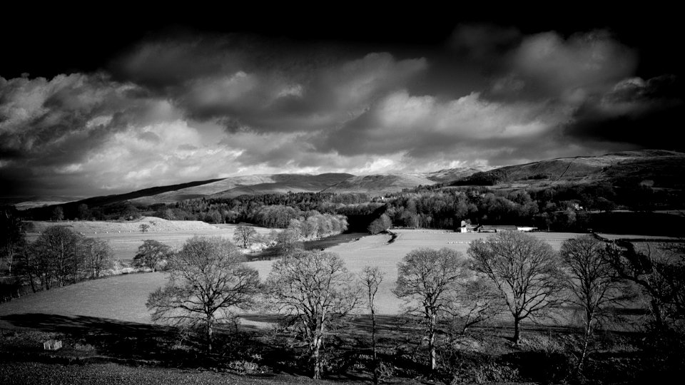 Some Trees and a Hill photo