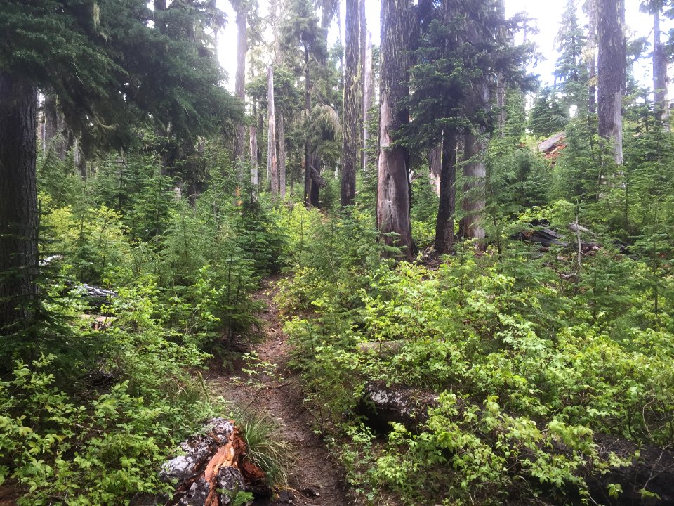 Klickitat Trail