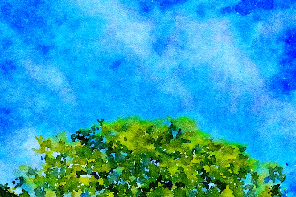 painting watercolor-12