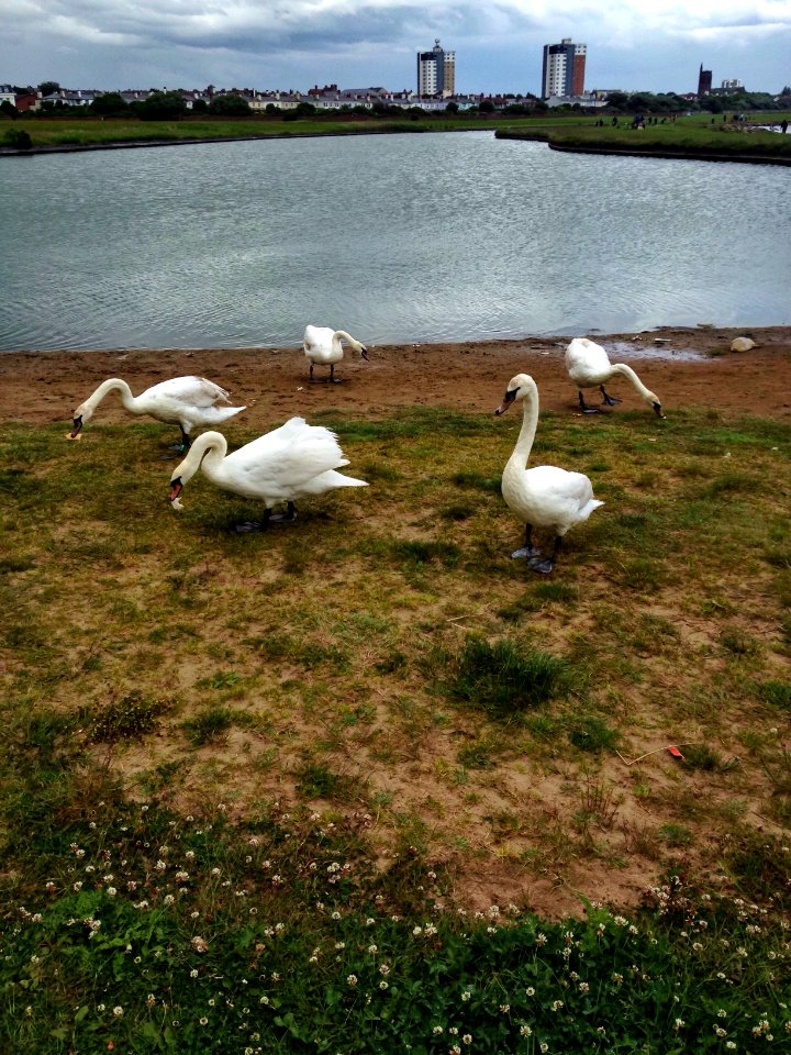 Crosby Coastal Park