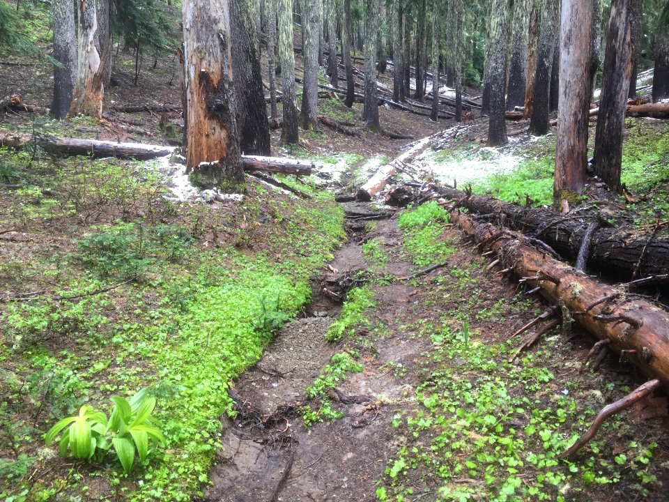 Klickitat Trail