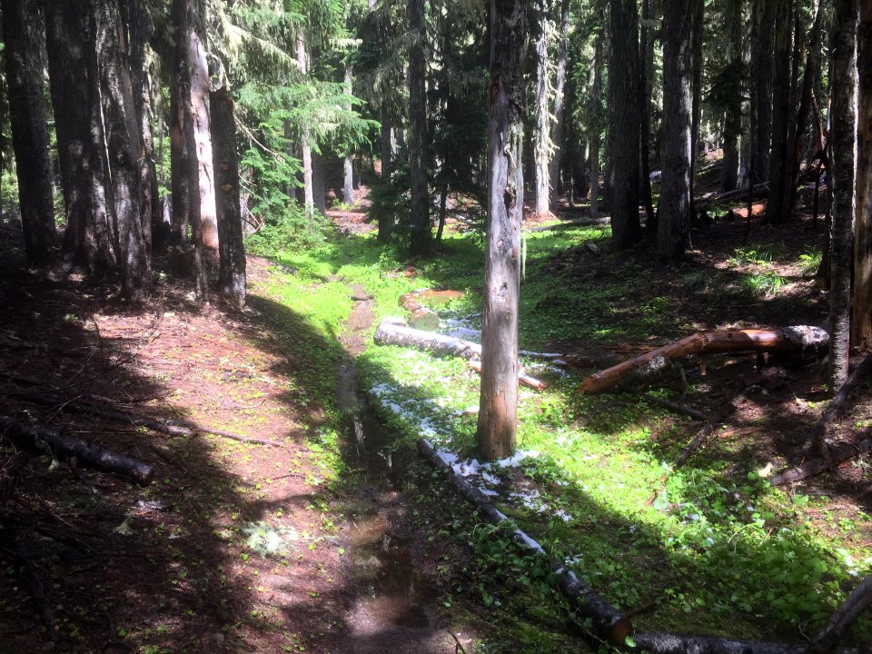 Klickitat Trail