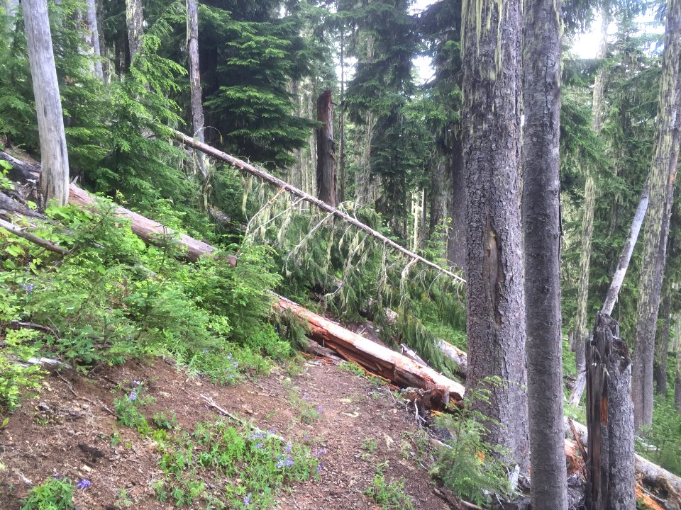 Klickitat 7A