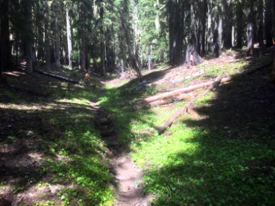 Klickitat Trail photo