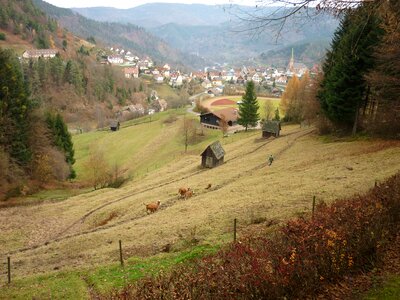 Hiking germany grass