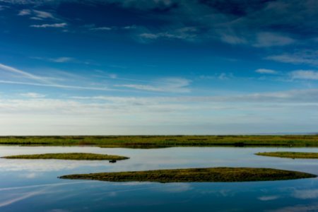 Leighton Moss photo