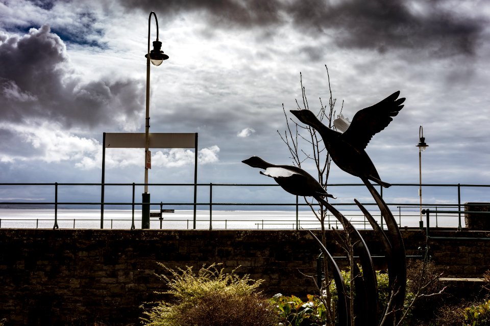 Out of the shrubs the mighty metal birds soar