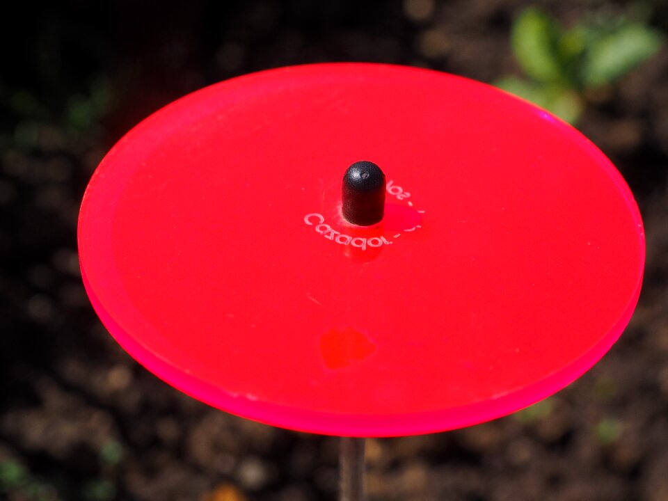 Gartendeko neon red fluorescent