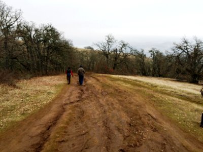 BurnsRoute 1-23-15 (2)