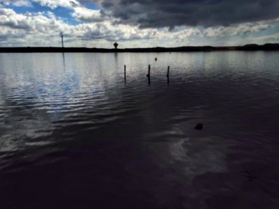 Crosby Coastal Park photo