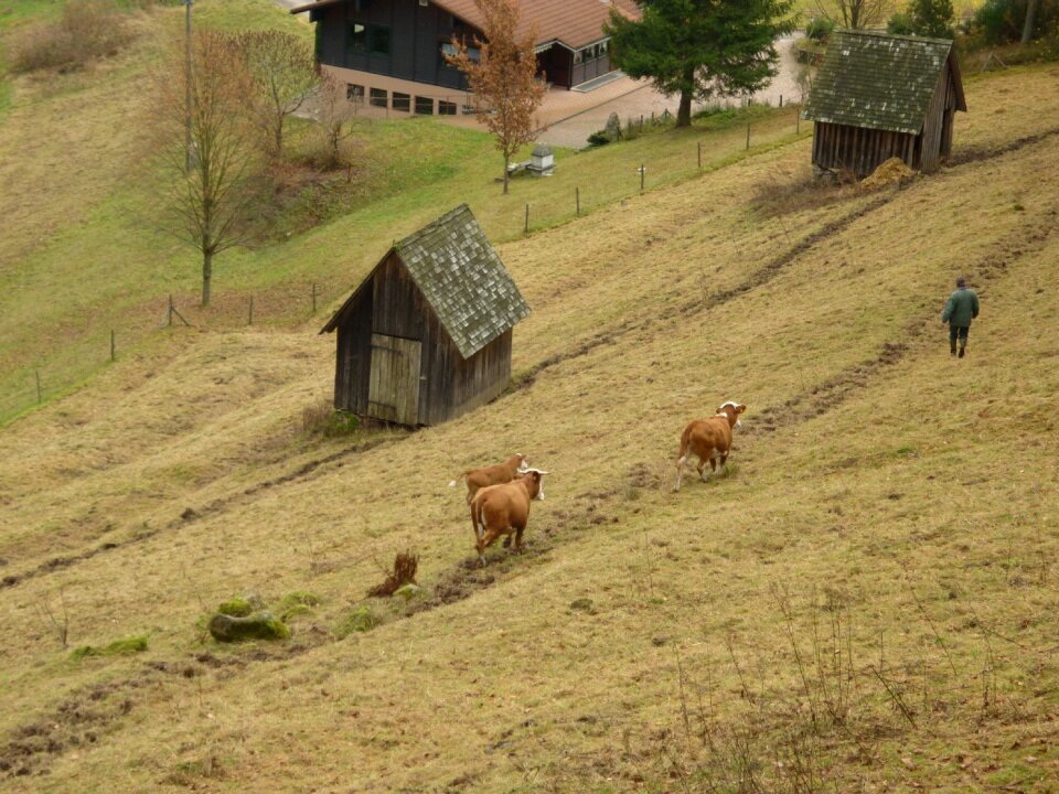 Hiking germany grass