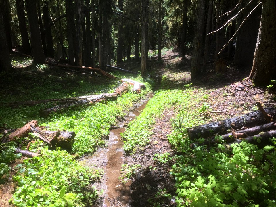 Klickitat Trail