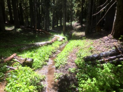 Klickitat Trail