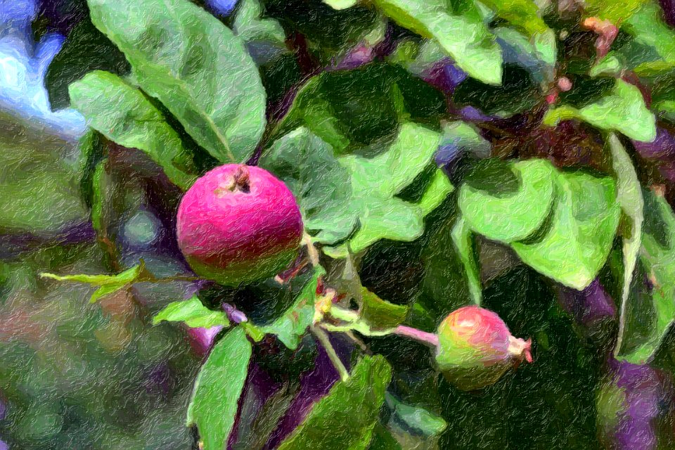 apple impasto
