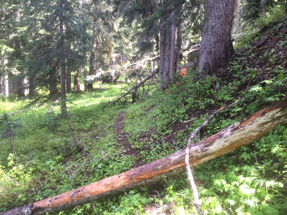Klickitat 7A