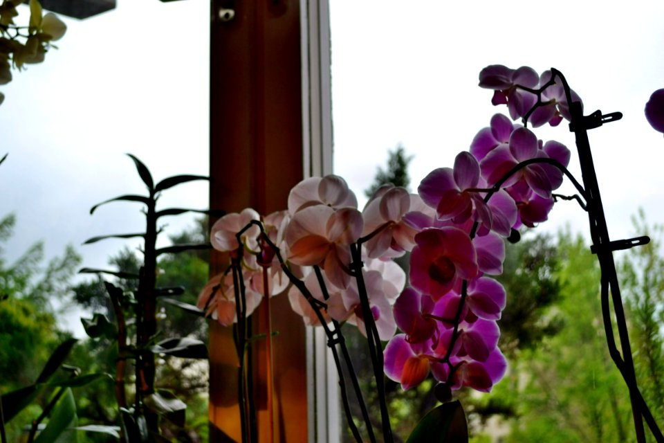 Visit