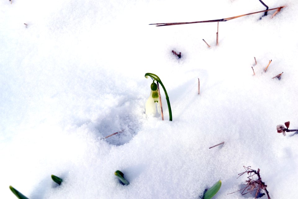Winter